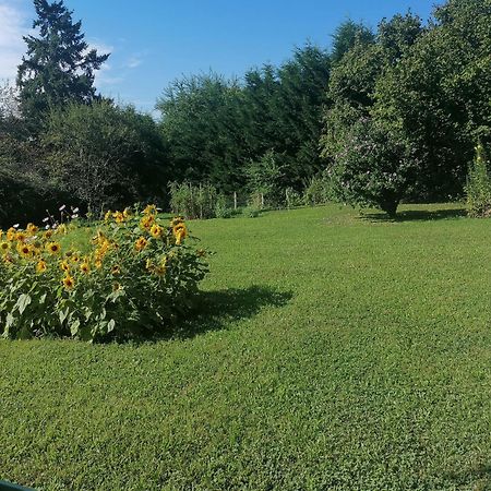 Petite Maison Dans Le Morvan Luzy Esterno foto