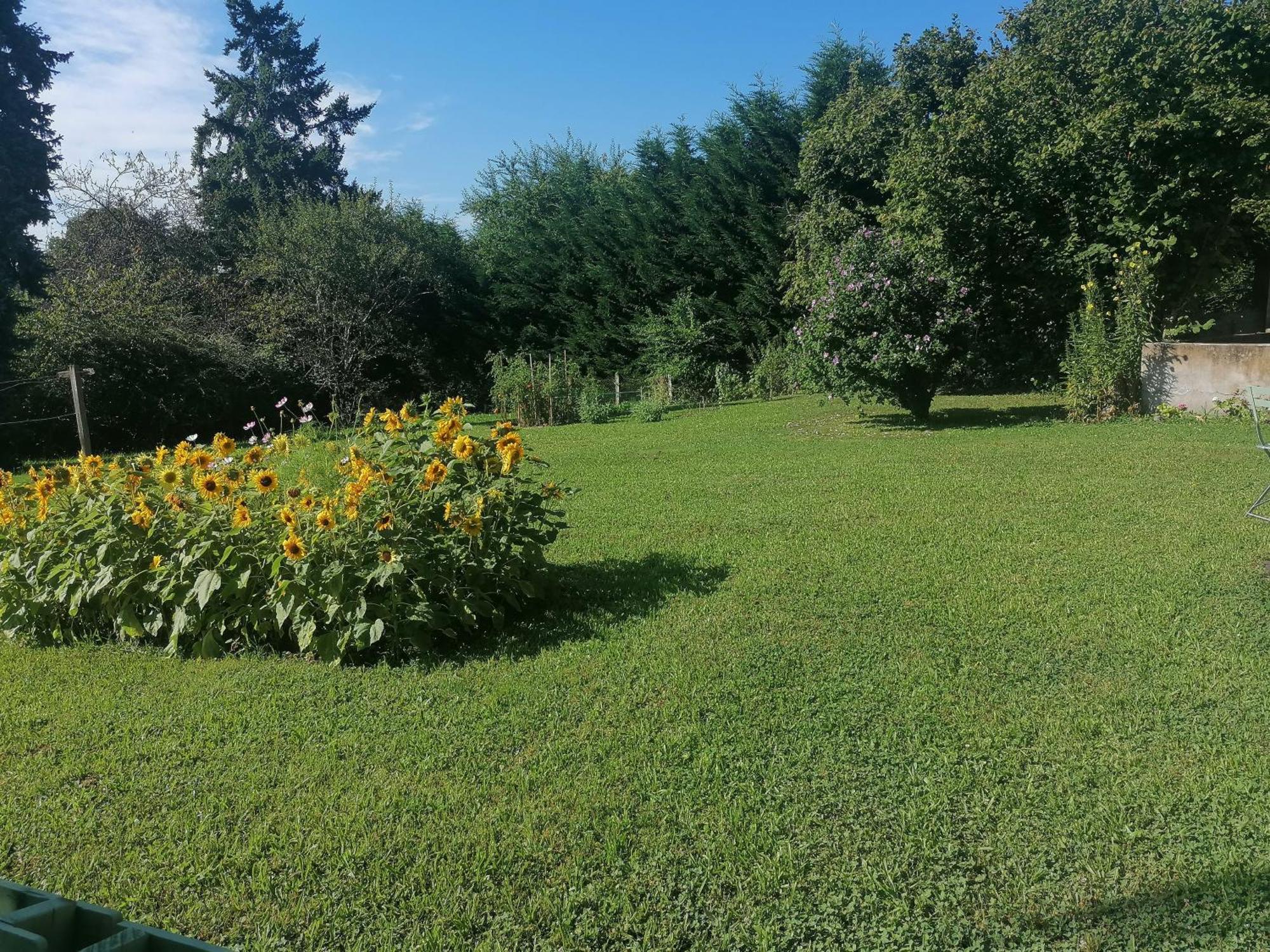 Petite Maison Dans Le Morvan Luzy Esterno foto